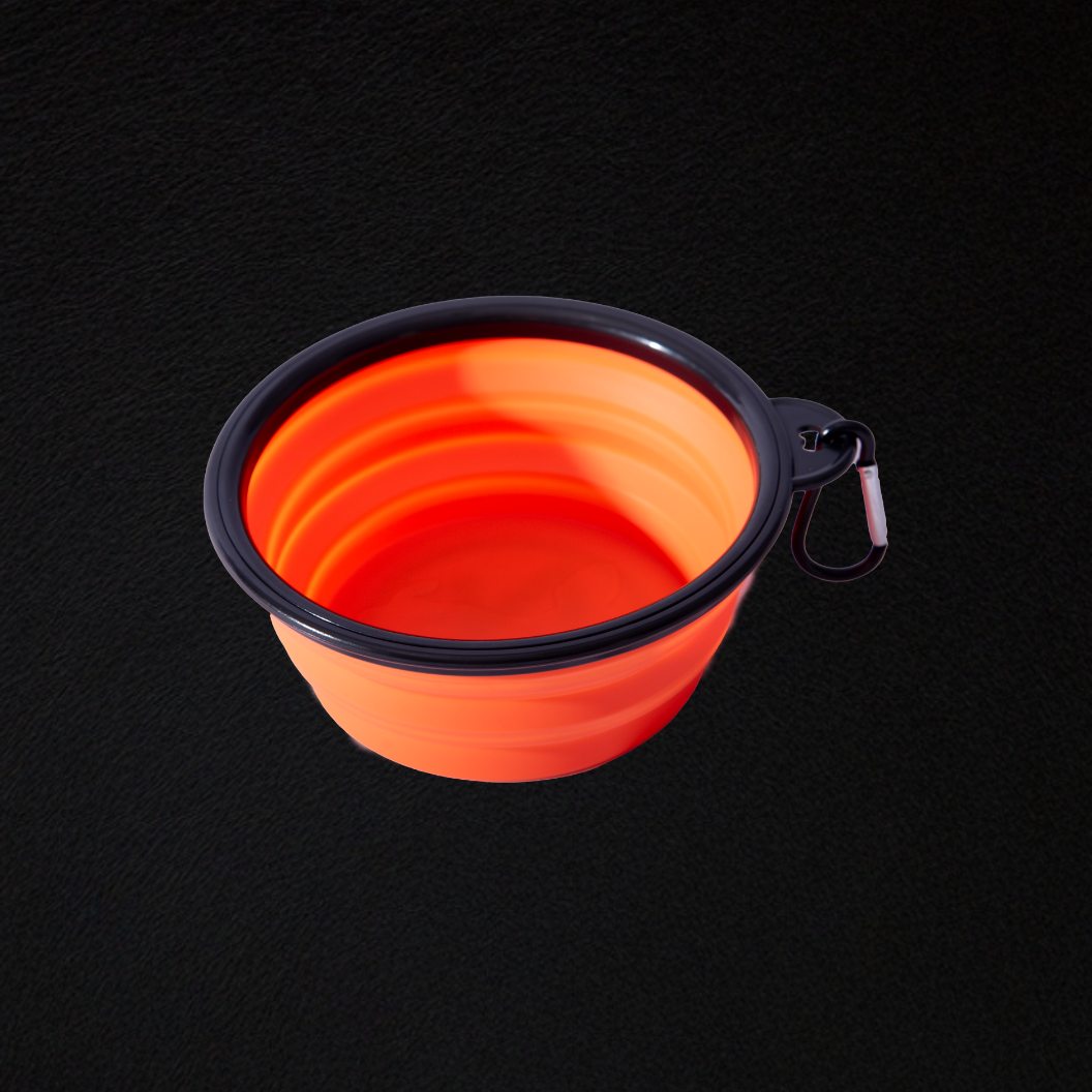 Collapsible Dog Bowl