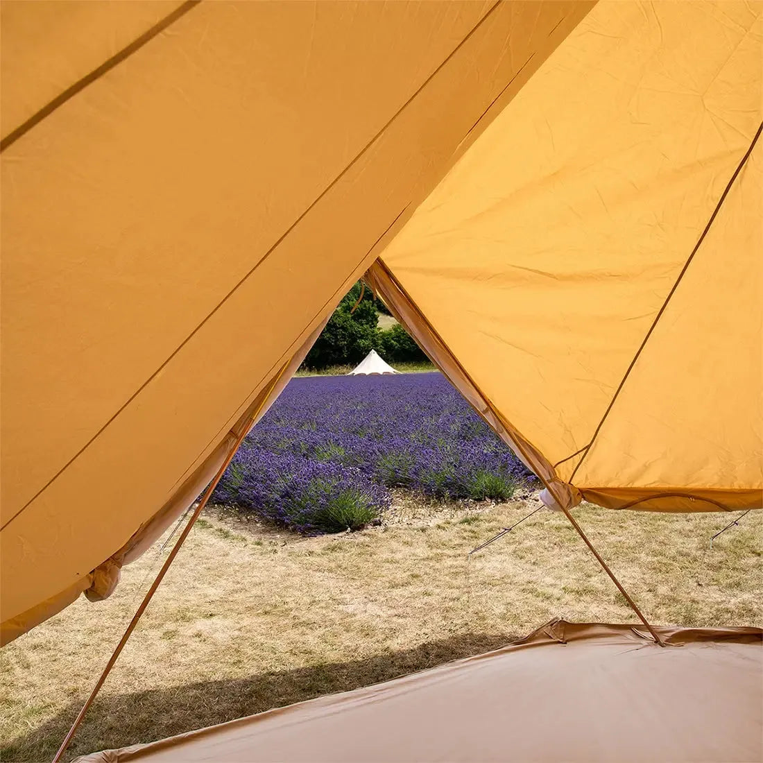 Multidoor Classic Bell Tent