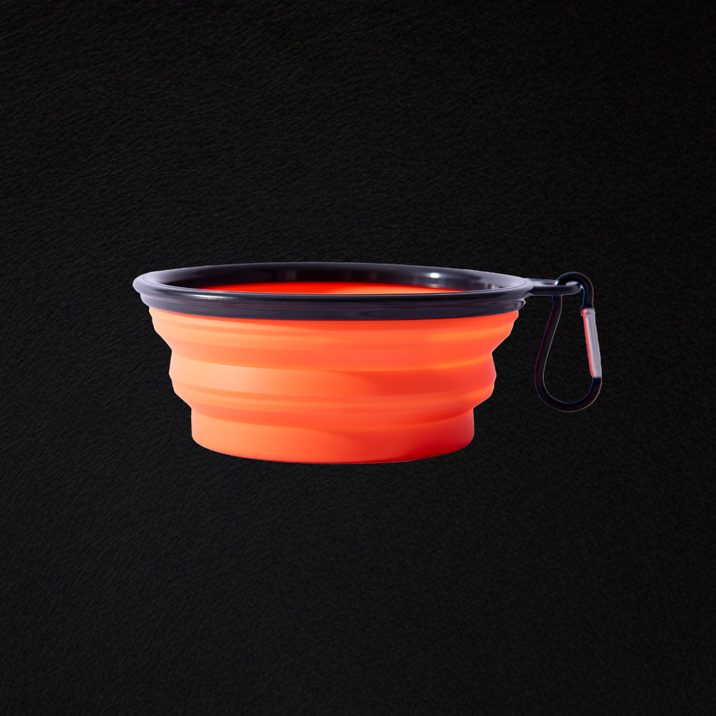 Collapsible Dog Bowl