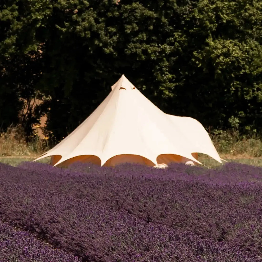 Star Bell Tent