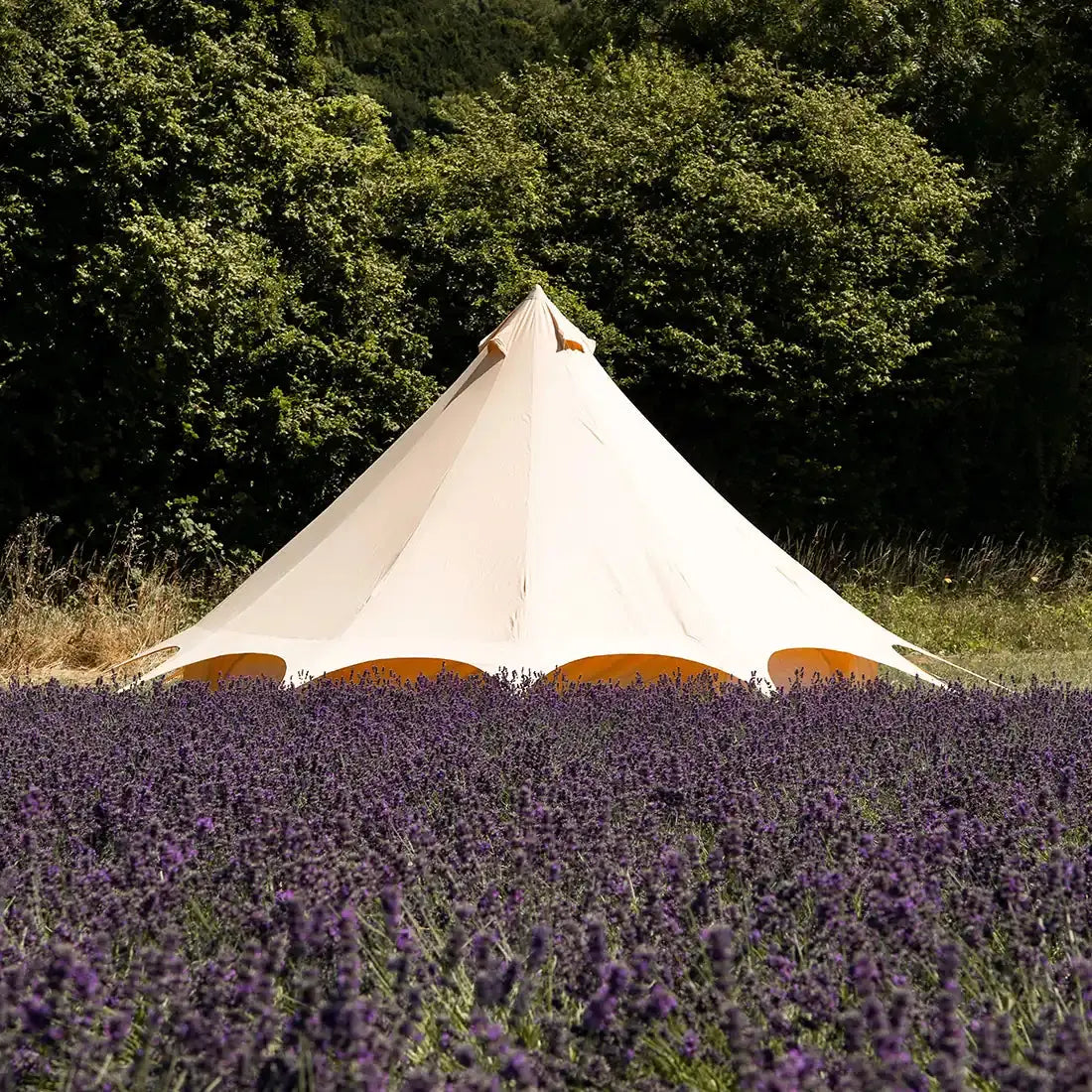 Star Bell Tent