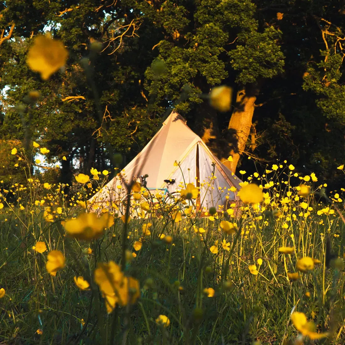 Classic Bell Tent