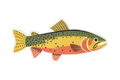 23 Pack of Native Trout Stickers