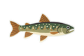 4 Pack of Trout Stickers