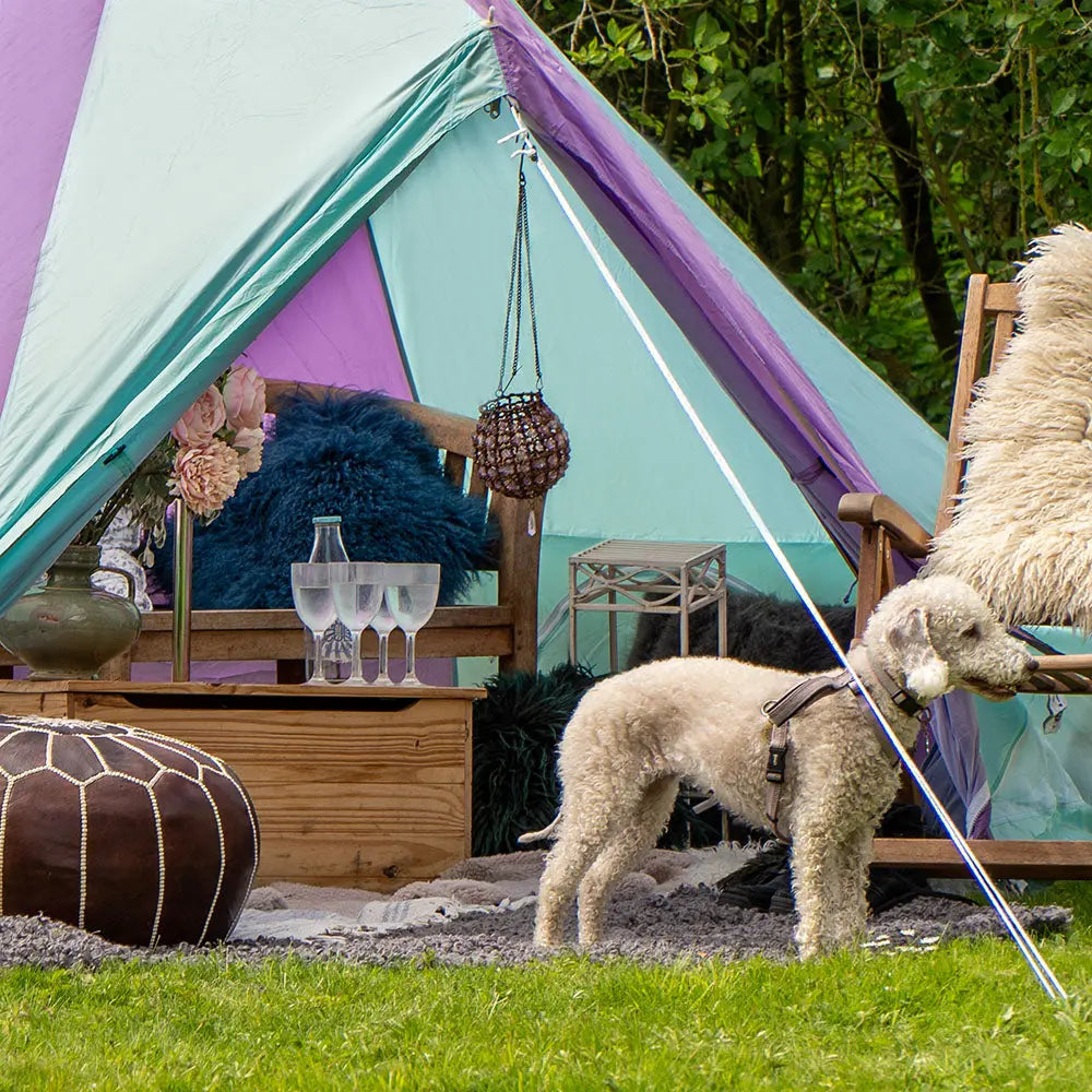 Multicolour Rainbow Classic Bell Tent
