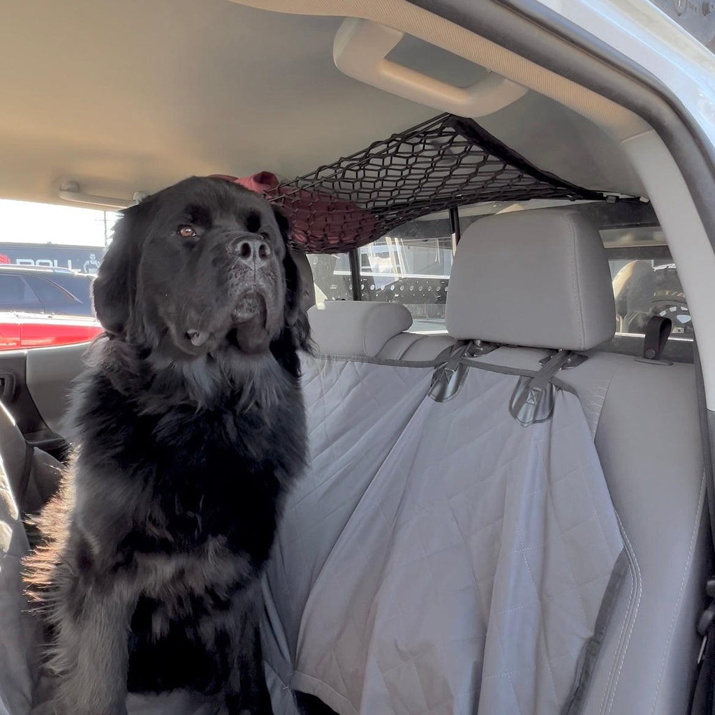 Nissan Frontier Attic Storage Net