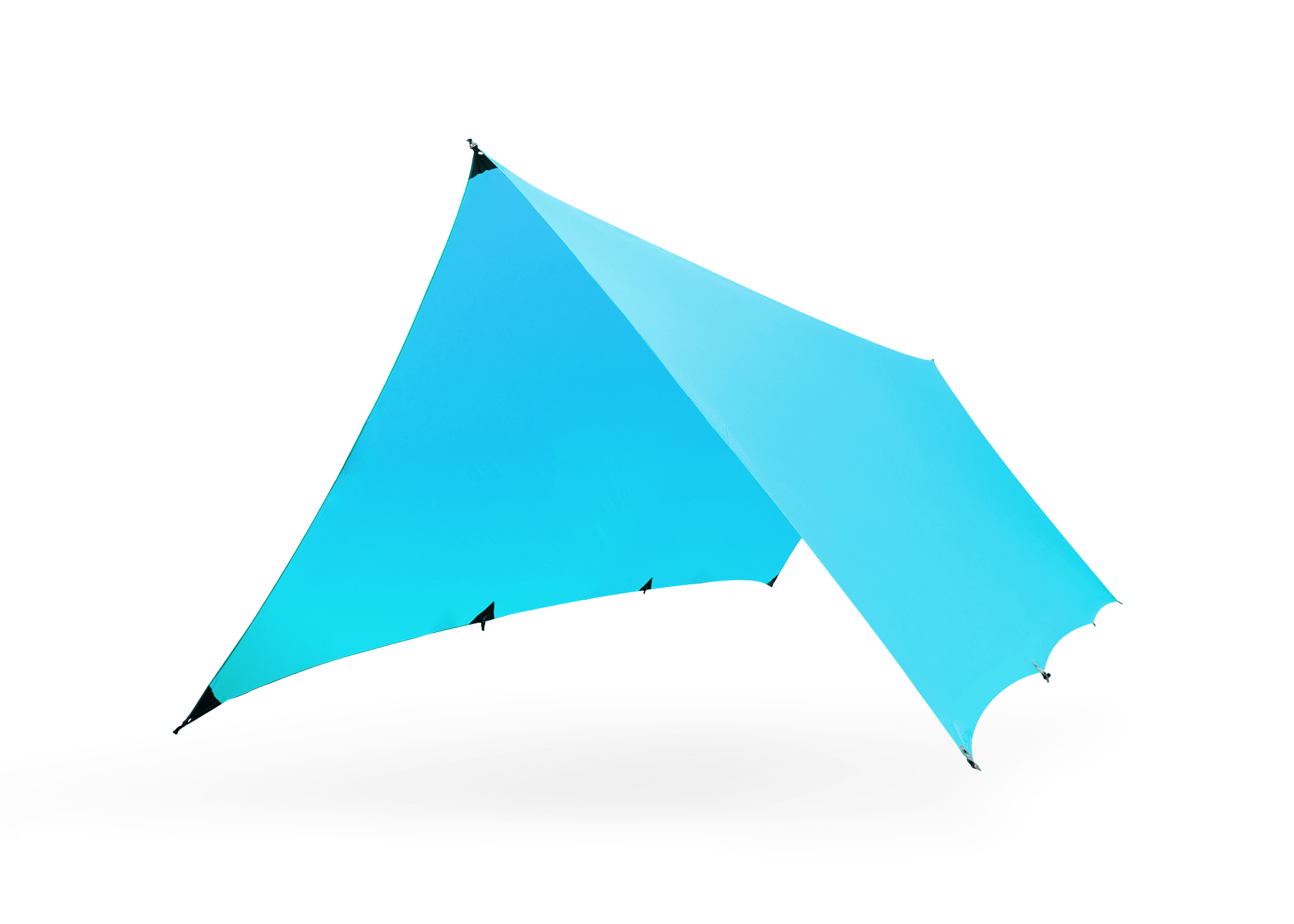 Kuhli