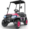 LIGIANT 24V 4WD Seater Ride On Golf Cart With Remote