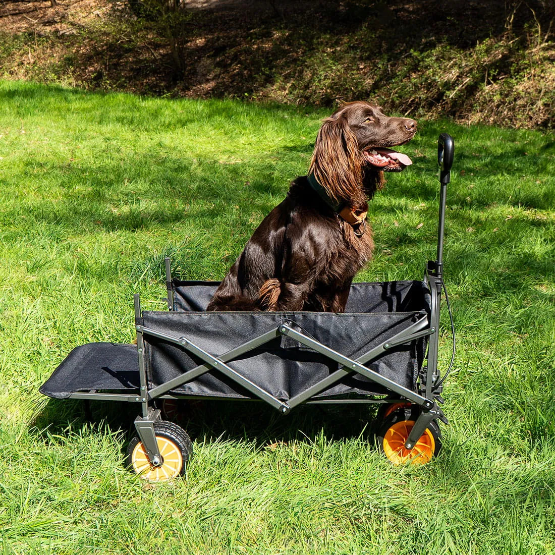 Boutique Camping Electric Camping Trolley Wagon
