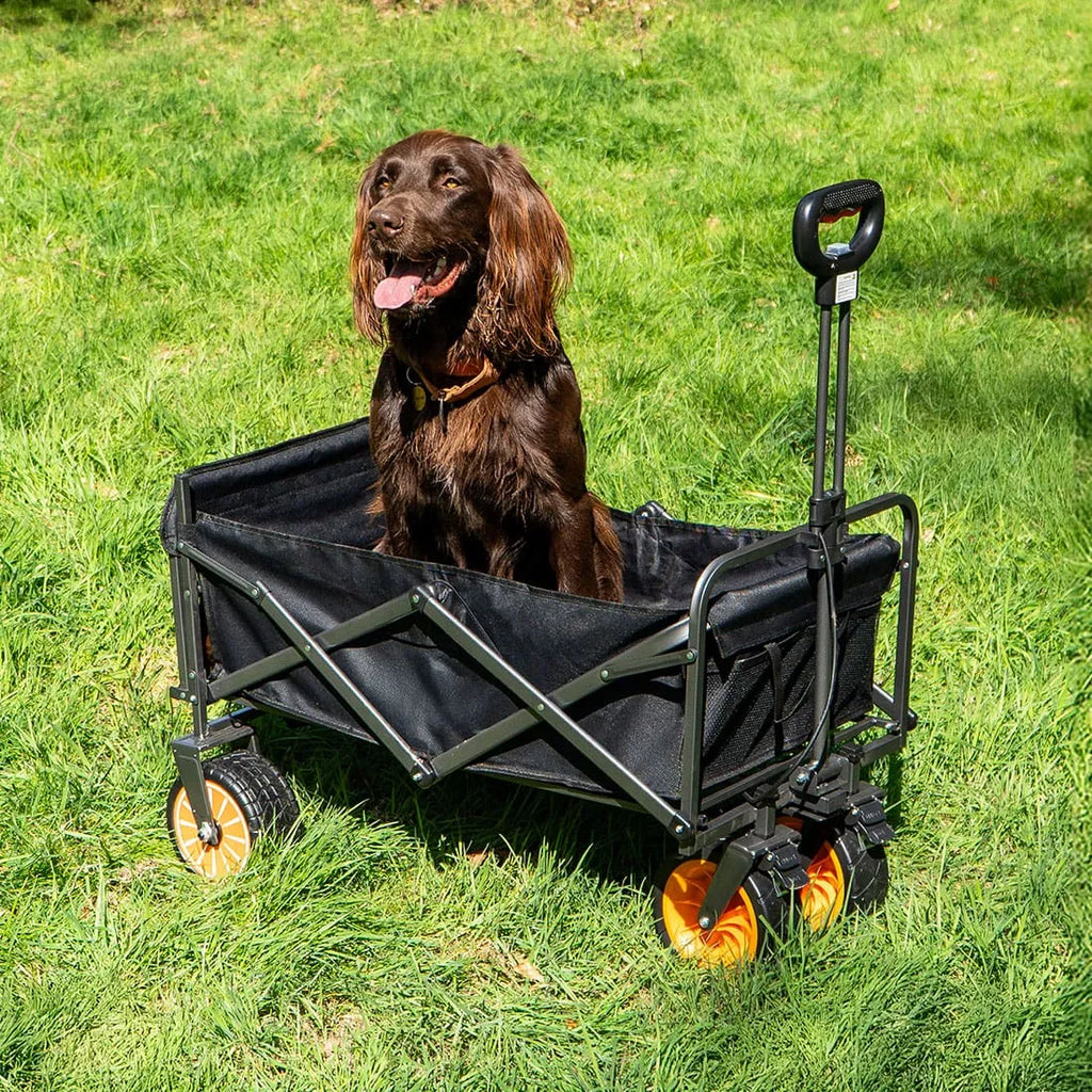 Boutique Camping Electric Camping Trolley Wagon
