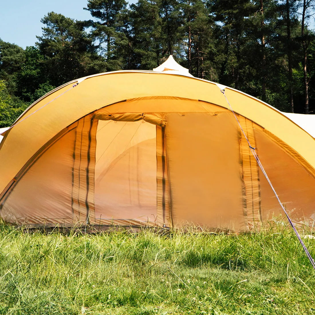 Phoenix Quad Door Tent